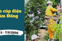 Lịch cúp điện Lâm Đồng từ ngày 5 – 7/6/2026: Điểm danh những khu vực bị cúp điện liên tục trong ngày để sữa chữa