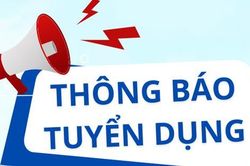 Văn ph&ograve;ng Hội đồng Y khoa Quốc gia tuyển dụng vi&ecirc;n chức năm 2026
