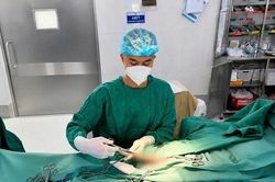 Cụ ông 74 tuổi mệt mỏi khi có 'rổ sỏi' lạo xạo trong bao quy đầu