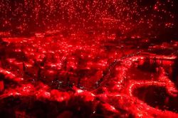 Màn ăn mừng rực lửa của CĐV Algeria