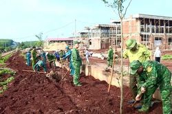Gia Lai: Chung tay phủ xanh vùng biên hưởng ứng Ngày Môi trường thế giới
