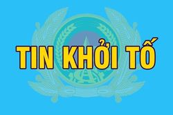 Khởi tố, bắt tạm giam Phó Chủ tịch UBND xã, Hiệu trưởng, Giám đốc doanh nghiệp...