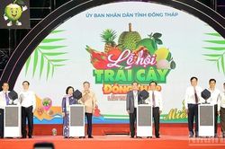 Khai mạc lễ hội trái cây tỉnh Đồng Tháp lần thứ I năm 2026