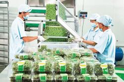 Gắn mã truy xuất nguồn gốc giúp minh bạch thị trường
