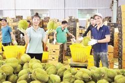 Bài 2: Gỡ khó, mở rộng nguồn vốn khu vực tam nông