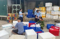 Khởi tố giám đốc doanh nghiệp sản xuất, buôn bán thực phẩm giả