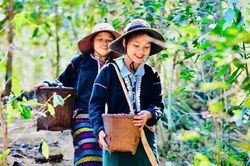 Phụ nữ-chủ thể quan trọng trong phát triển kinh tế số và kinh tế xanh