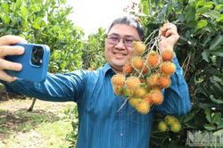 Khám phá 'thủ phủ' trái cây ở Đồng Nai