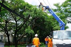 Thành phố Hồ Chí Minh: Chủ động phòng ngừa cây ngã đổ, tai nạn điện mùa mưa