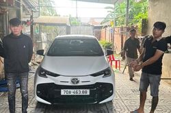 Tạm giữ 9 nghi phạm trong chuyên án trộm chó quy mô lớn ở Tây Ninh