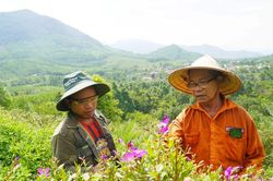 Lão nông thuần hóa rừng sim tím, mở lối du lịch xanh cho người Ba Na