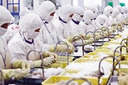 Rủi ro thương mại nghiêm trọng từ động thái chính sách mới của Hoa Kỳ, doanh nghiệp cần làm gì?