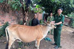 Dựng 'thế trận l&ograve;ng d&acirc;n' nơi bi&ecirc;n cương Quảng Ng&atilde;i