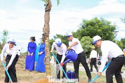 Đà Nẵng ra quân Tháng hành động vì môi trường, lan tỏa lối sống xanh