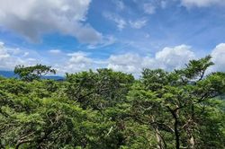 Phong Nha - Kẻ Bàng được công nhận là Khu Dự trữ sinh quyển thế giới