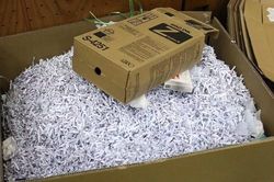 Đề thi Tốt nghiệp THPT chưa công khai thuộc danh mục bí mật nhà nước độ 'tối mật'
