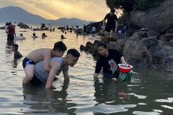 Chiều hè, phụ huynh Đà Nẵng đưa con ra biển lội rêu, bắt ốc