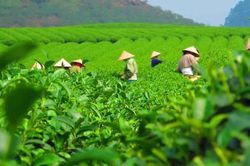 Thái Nguyên đề xuất thu hồi đất để triển khai 32 dự án
