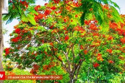 Thời tiết ngày 6/6: Nắng nóng gay gắt đổ bộ, có nơi chạm ngưỡng 38°C