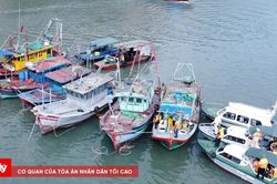 Siết chặt quản lý tàu cá neo đậu ven bờ vịnh Hạ Long