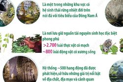 Phong Nha-Kẻ Bàng được vinh danh Khu Dự trữ sinh quyển thế giới