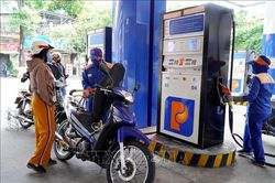 Xăng E10 chính thức 'phủ kín' thị trường bán lẻ Quảng Ngãi