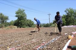 Tái cơ cấu sản xuất, nâng cao giá trị gia tăng cho nông sản Đồng Nai