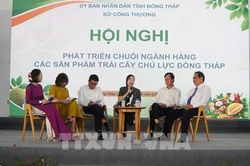 Lễ hội trái cây Đồng Tháp 2026: Nâng cấp chuỗi giá trị nông sản