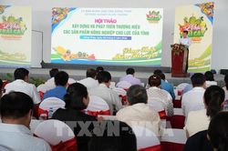 Nông sản Đồng Tháp: Khi thương hiệu quyết định túi tiền nhà nông