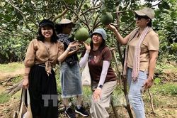 Tiềm năng kết nối du lịch sinh thái Thành phố Hồ Chí Minh và Đồng Tháp