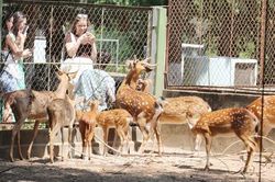 Tiềm năng kết nối du lịch sinh thái Thành phố Hồ Chí Minh và Đồng Tháp
