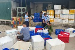 Thanh Hóa: Công ty Phương Tùng Ly mạo danh một doanh nghiệp tại Thủ đô sản xuất nem chua rán Hà Nội