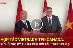 Hợp tác Vietrade-TFO Canada: Từ hỗ trợ kỹ thuật đến đối tác thương mại