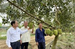 Quan tâm, chăm sóc và phát huy vai trò người cao tuổi