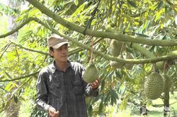 Phát huy vai trò của nguồn tín dụng chính sách
