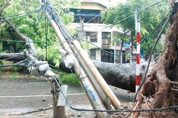 Chủ động các biện pháp bảo đảm an toàn trước mưa dông đầu mùa