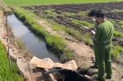 Đồng Tháp: Sử dụng điện để bẫy chuột dẫn đến chết người