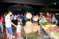 Tăng cường quản lý, duy trì cảnh quan và tuyên truyền văn minh tại Lễ hội Trái cây Đồng Tháp lần thứ I