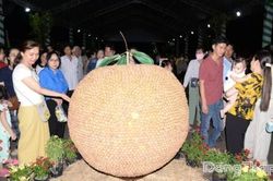 Trái cây đặc sản đầy ắp tại Không gian trưng bày, triển lãm chuỗi giá trị ngành hàng trái cây Đồng Tháp