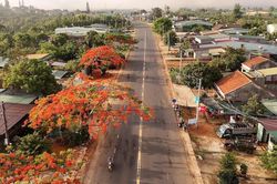 Bàn giao hệ thống đèn chiếu sáng đèo Mang Yang trị giá hơn 18,4 tỷ đồng