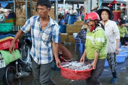 Xuống cảng buổi sớm