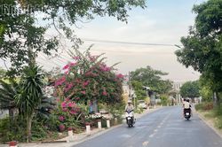 Con đường chia sẻ yêu thương