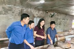 Hội Nông dân tỉnh Khánh Hòa tìm hiểu mô hình kinh tế nông nghiệp tại tỉnh Bắc Ninh