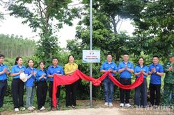 Nhiều hoạt động ý nghĩa trong Chiến dịch Thanh niên tình nguyện hè năm 2026