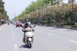 Thời tiết ngày 6/6: Bắc Bộ nắng nóng, Lào Cai đề phòng mưa dông chiều tối