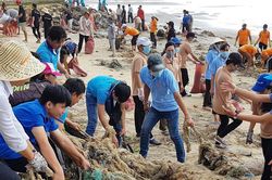 Ngày Môi trường và câu chuyện rác đại dương