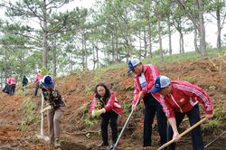 Phó Bí thư Tỉnh ủy Phạm Thị Phúc dự và phát động phong trào 'Toàn dân chung tay bảo vệ môi trường' tại phường Xuân Trường - Đà Lạt