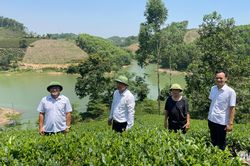 Xã Vô Tranh chuẩn bị chương trình trải nghiệm 'Dấu ấn xứ Trà'