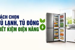 Cách chọn tủ lạnh, tủ đông tiết kiệm điện năng