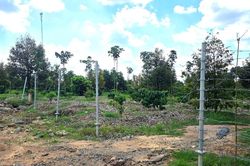 Kiên quyết xử lý tái lấn chiếm, bảo đảm tiến độ thi công cao tốc Khánh Hòa - Buôn Ma Thuột